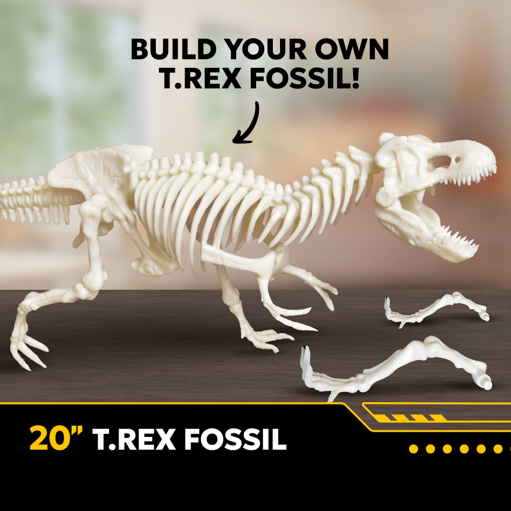 VR Dinosaur Educational Toy | Immersive 3D Dinosaurs | Toylandeu™