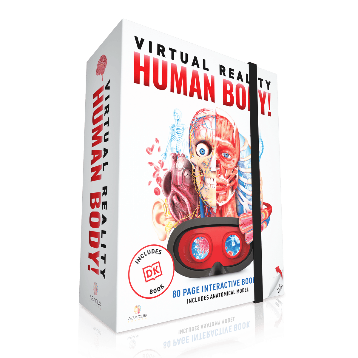 VR Human Anatomy Kit for Kids | 20 VR Experiences | Toylandeu™