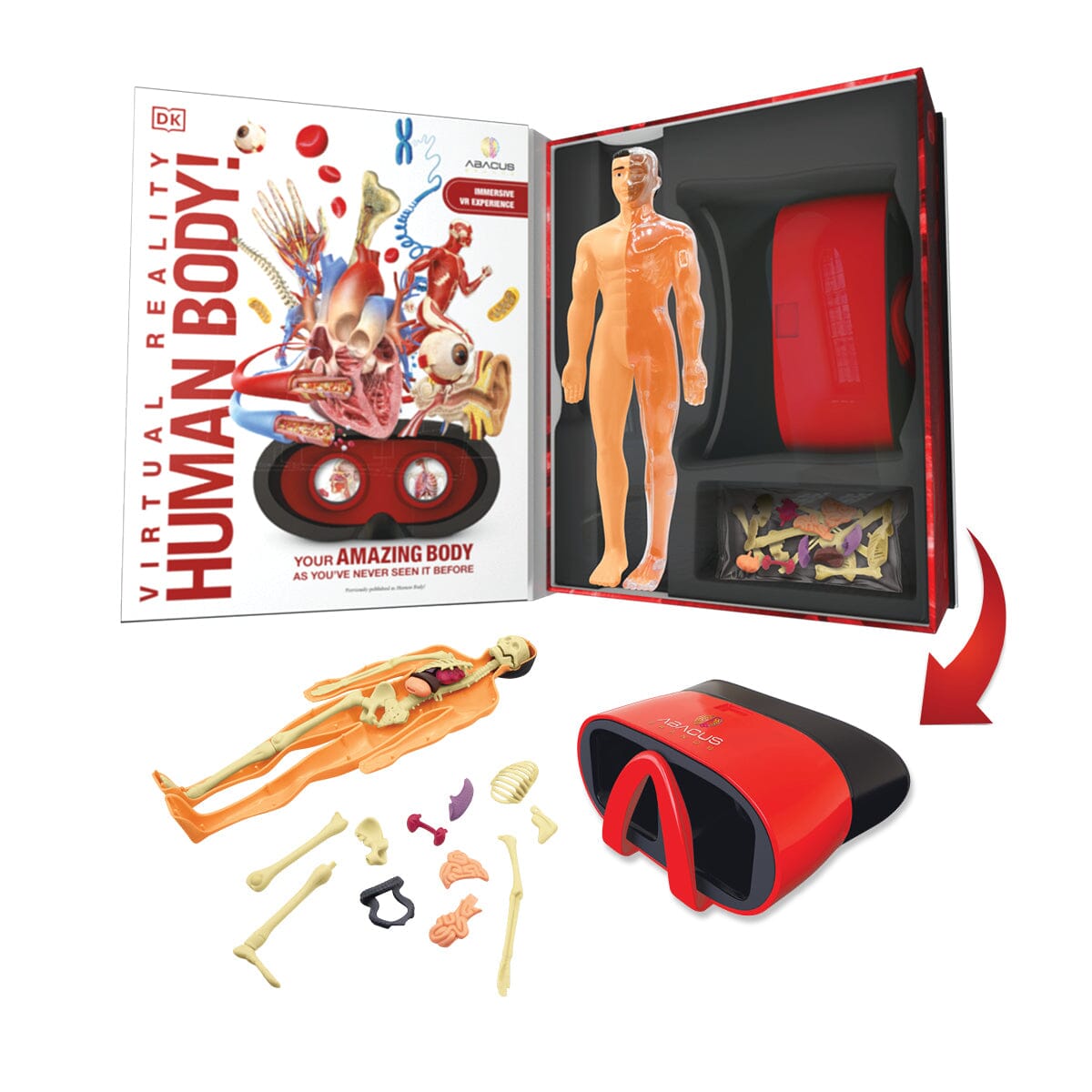 VR Human Anatomy Kit for Kids | 20 VR Experiences | Toylandeu™