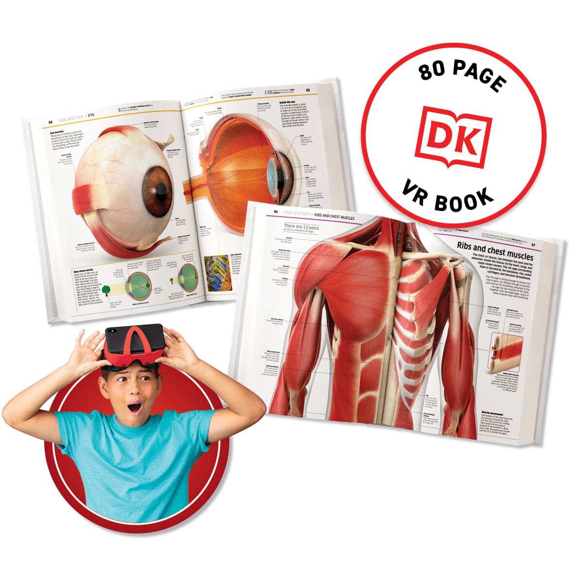 VR Human Anatomy Kit for Kids | 20 VR Experiences | Toylandeu™