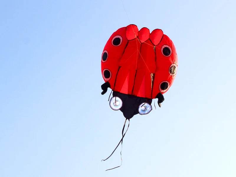 Vibrant 3D Ladybug Soft Kite - Perfect for Outdoor Adventures! - ToylandEU