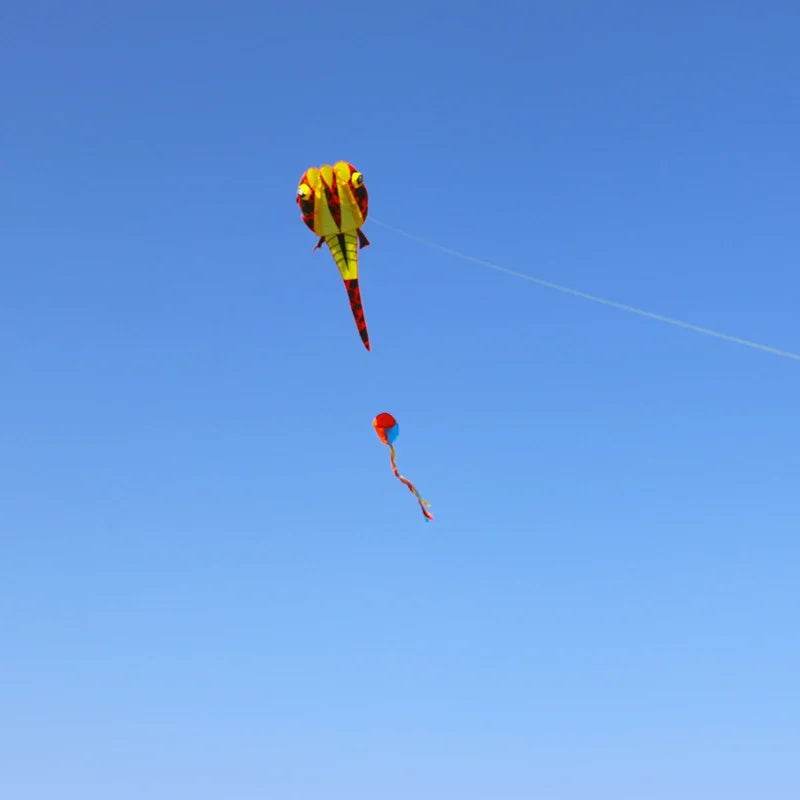 Vibrant 3D Tadpole Kite for Kids - Fun Outdoor Flying Adventure! - ToylandEU