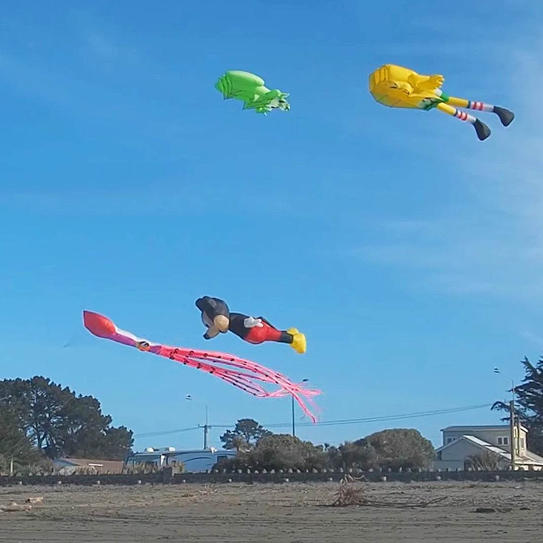 Vibrant 4m Inflatable Mouse Kite Pendant – Durable 30D Nylon Fun - ToylandEU