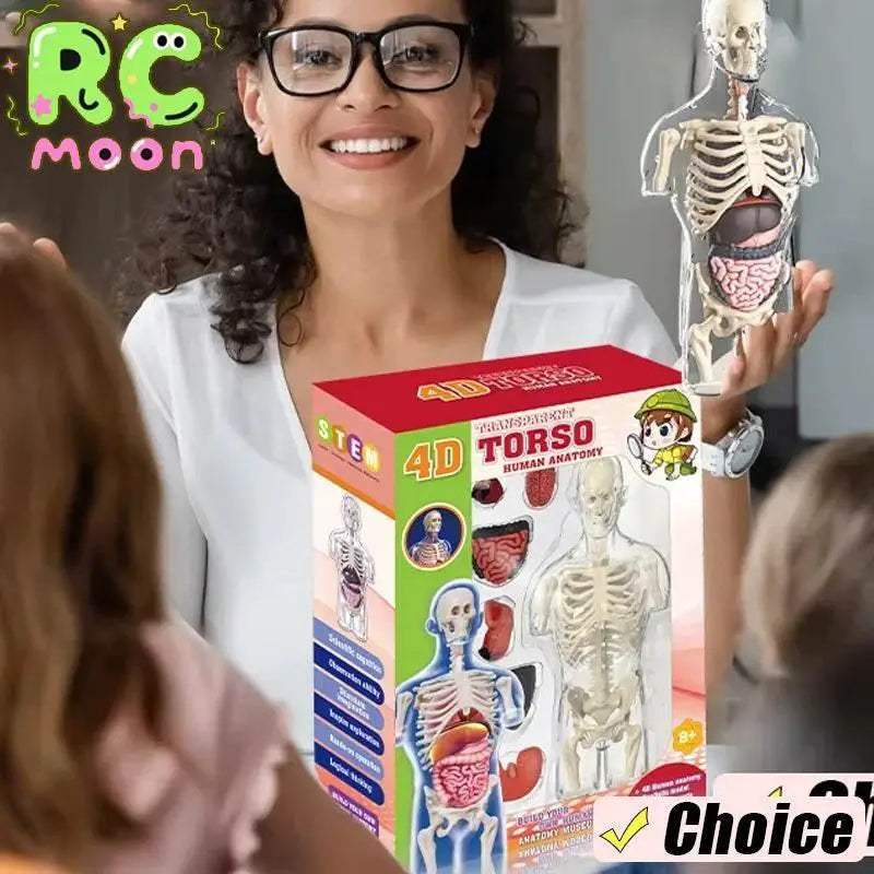  Vibrant Anatomy Model 3D Noctilucent Glow Toyland EU -  ToylandEU™