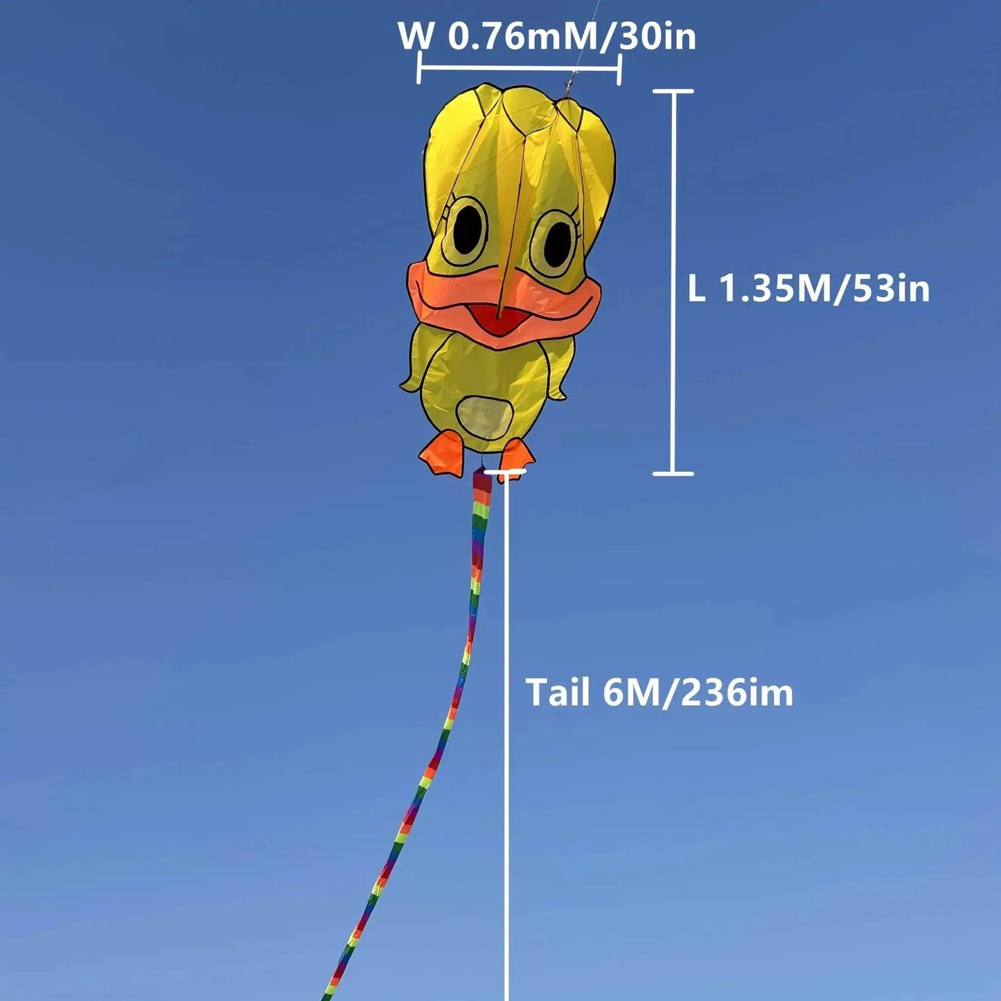  Vibrant Kite Rainbow Tail Kite Toyland EU -  ToylandEU™