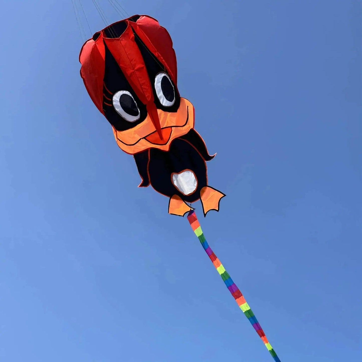  Vibrant Kite Rainbow Tail Kite Toyland EU -  ToylandEU™