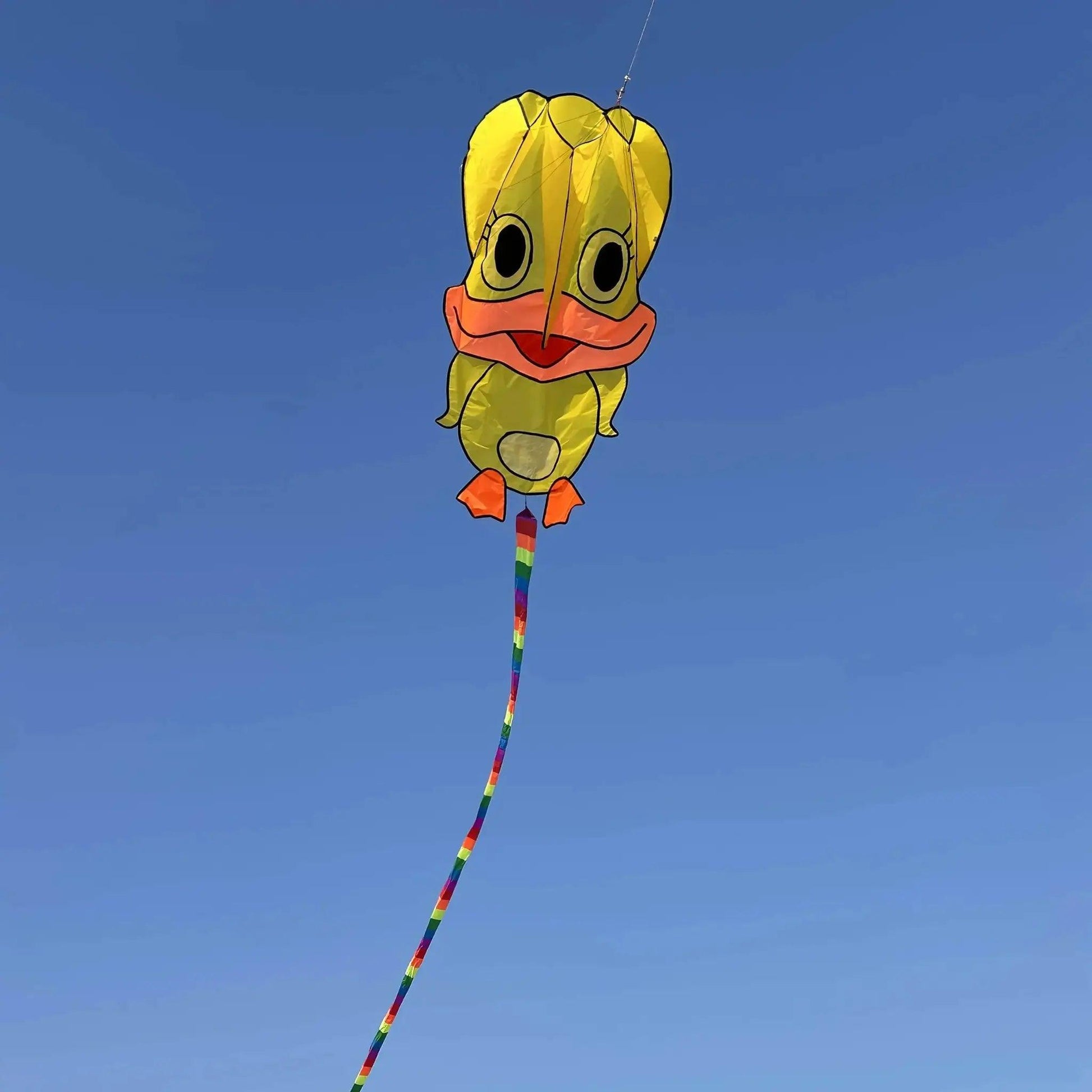  Vibrant Kite Rainbow Tail Kite Toyland EU -  ToylandEU™