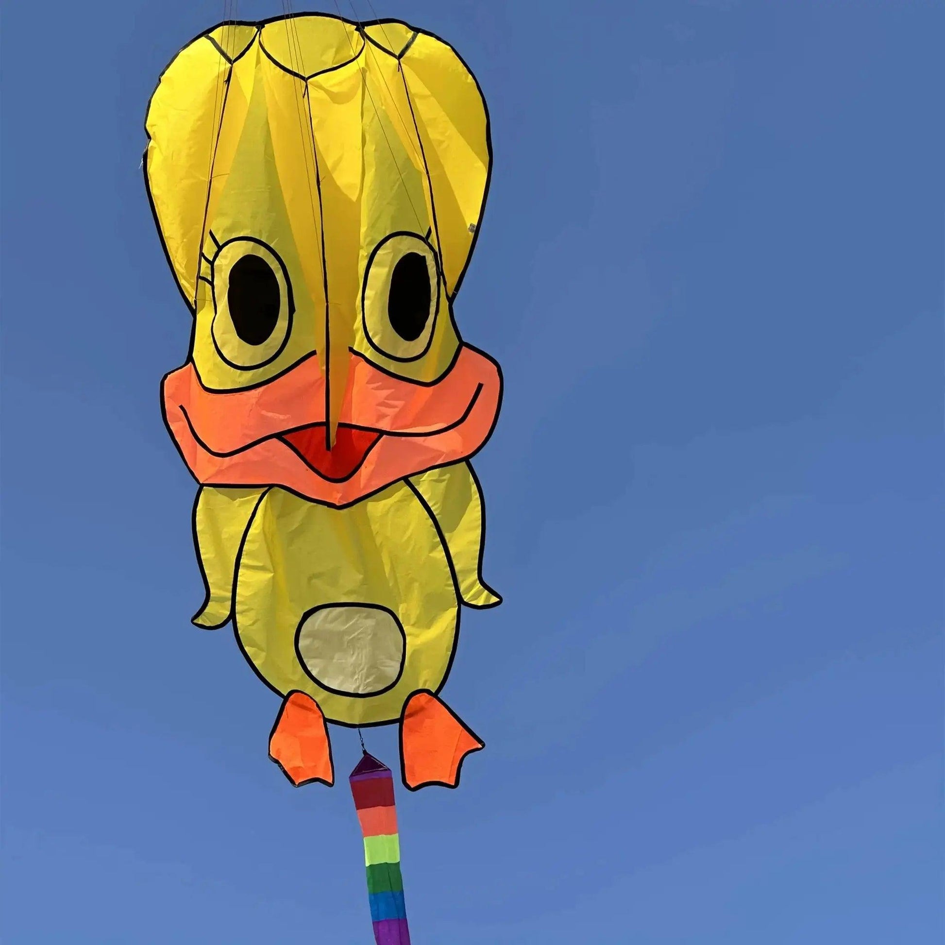 Vibrant Kite Rainbow Tail Kite Toyland EU -  ToylandEU™