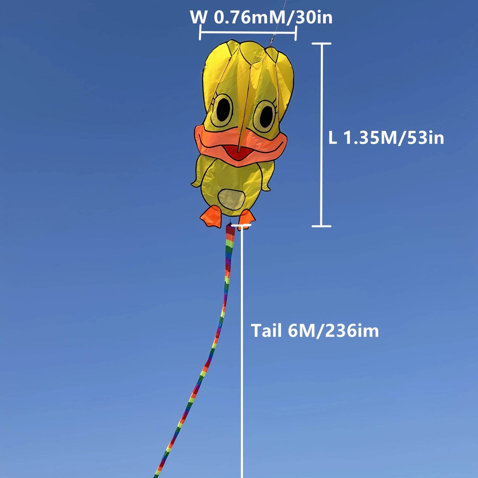 Vibrant Kite With Three Color Soft Duck Tail For Ages 14 Up - ToylandEU