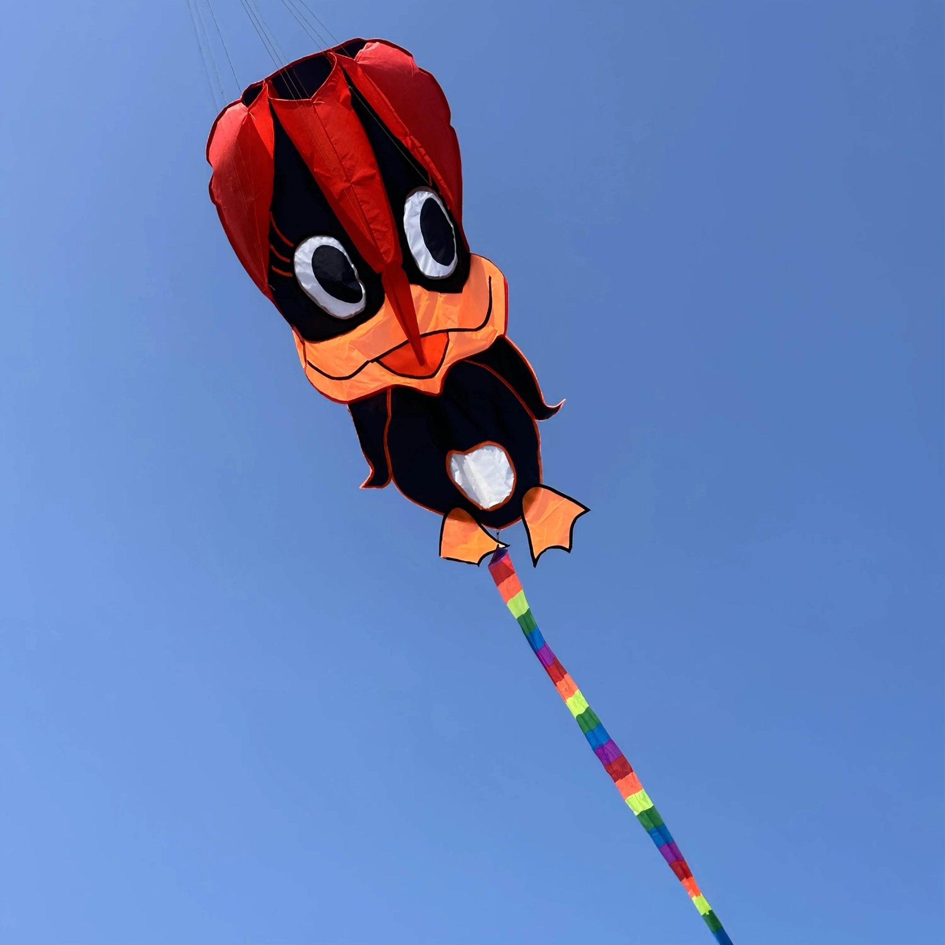 Vibrant Kite With Three Color Soft Duck Tail For Ages 14 Up - ToylandEU