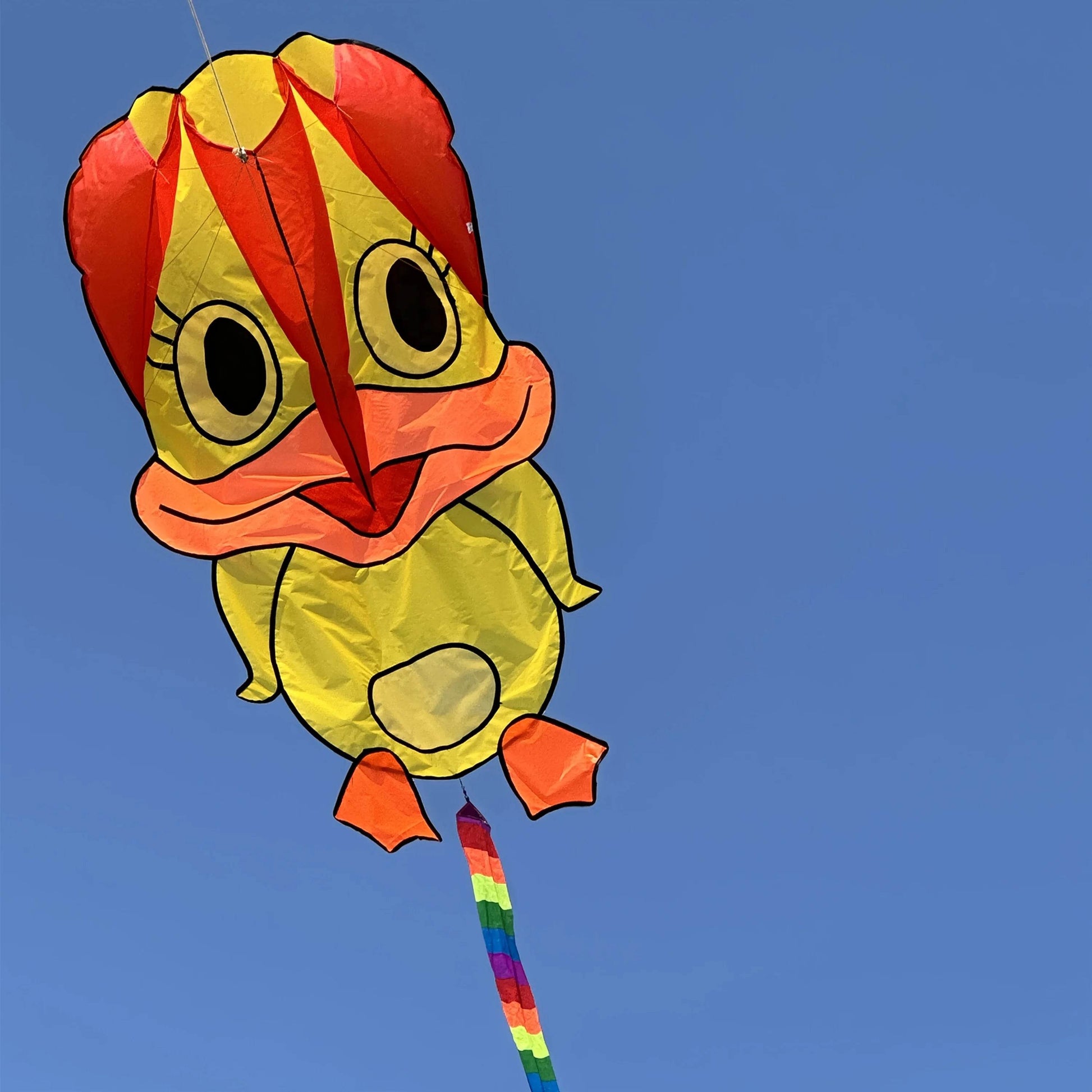 Vibrant Kite With Three Color Soft Duck Tail For Ages 14 Up - ToylandEU