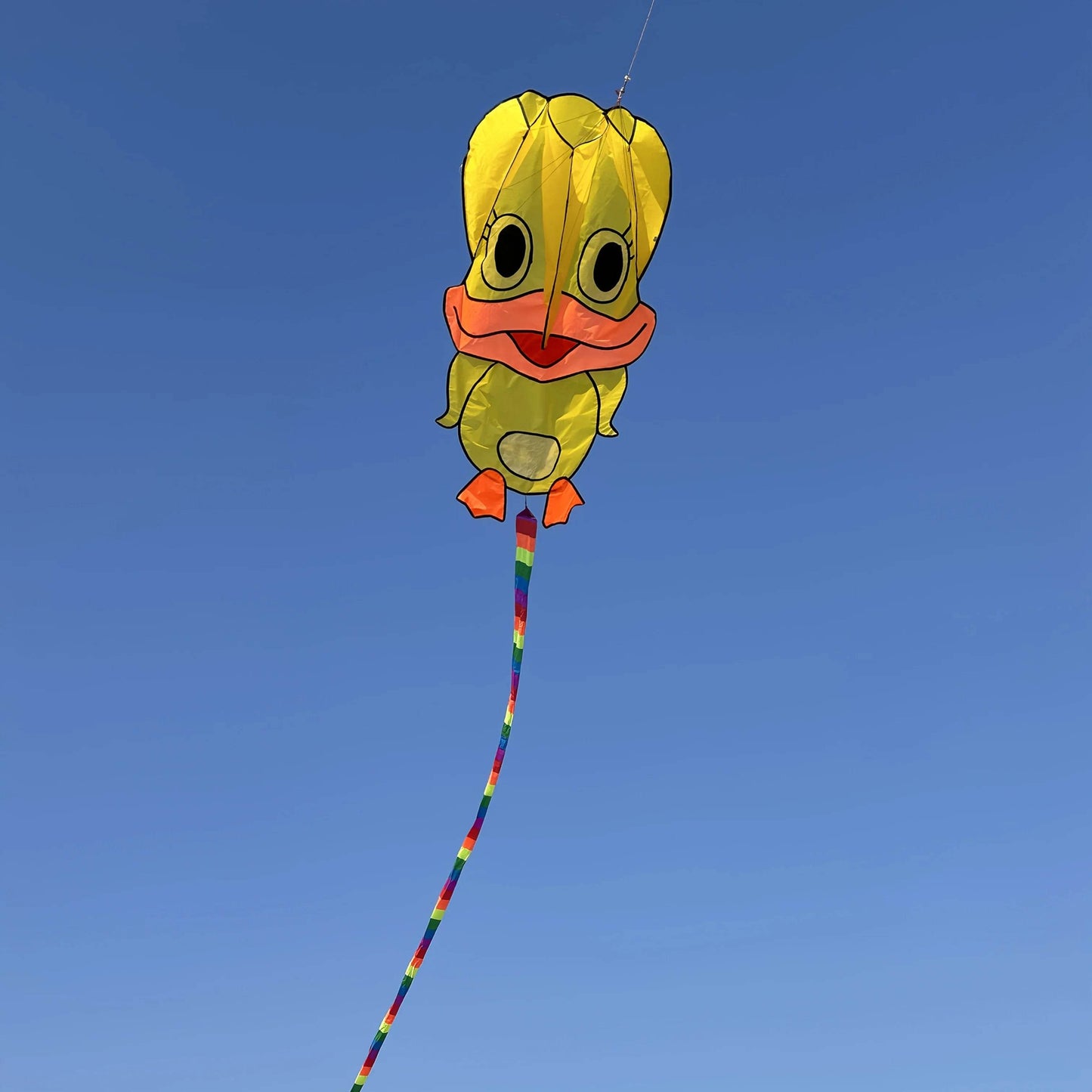 Vibrant Kite With Three Color Soft Duck Tail For Ages 14 Up - ToylandEU