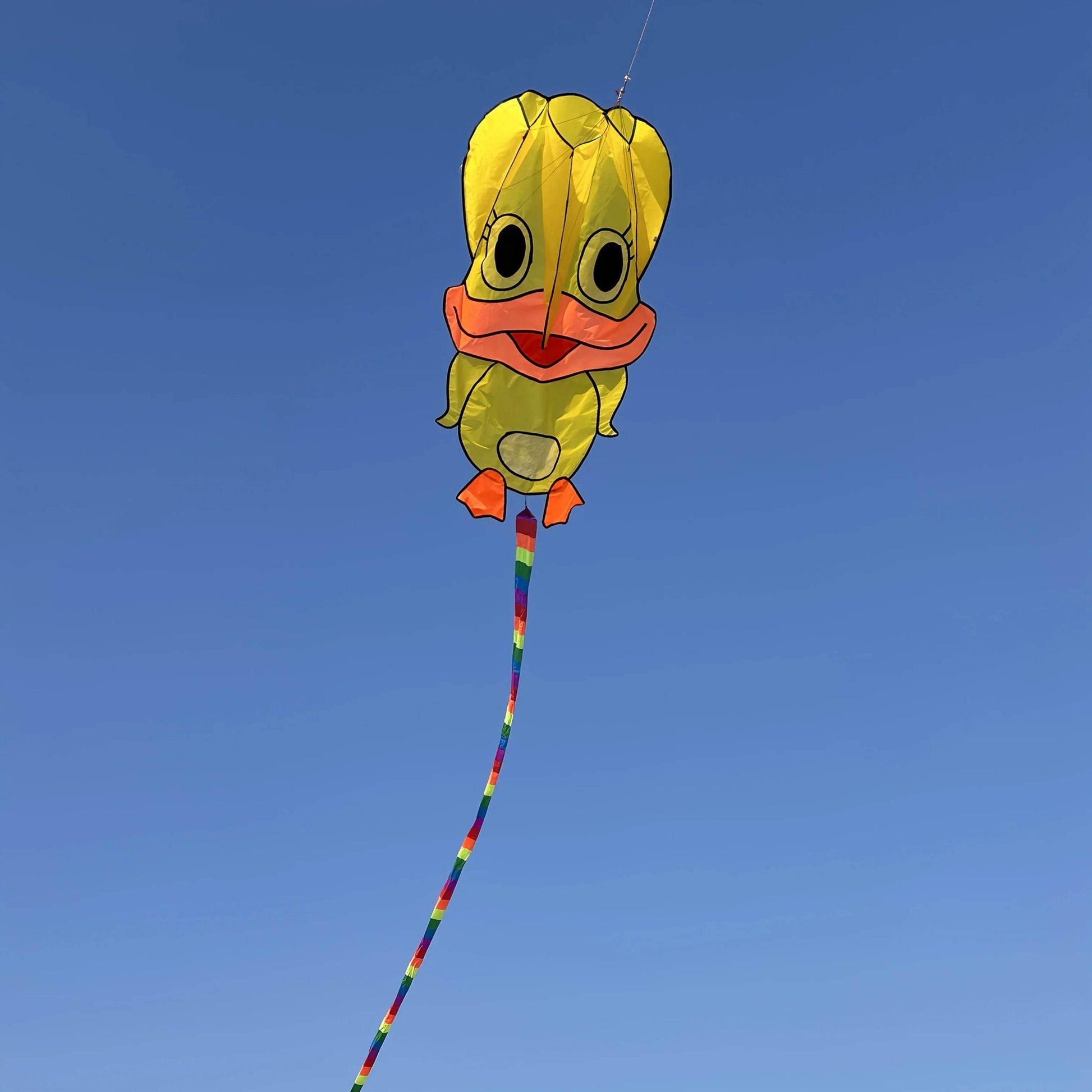 Vibrant Kite With Three Color Soft Duck Tail For Ages 14 Up - ToylandEU