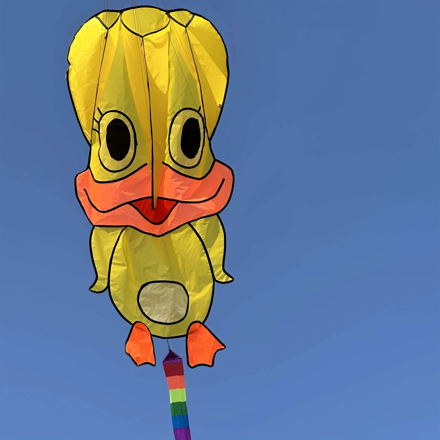 Vibrant Kite With Three Color Soft Duck Tail For Ages 14 Up - ToylandEU