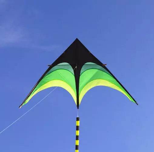 Vibrant Large Delta Kites for Kids - Free Shipping & Fun Flying Toys! - ToylandEU