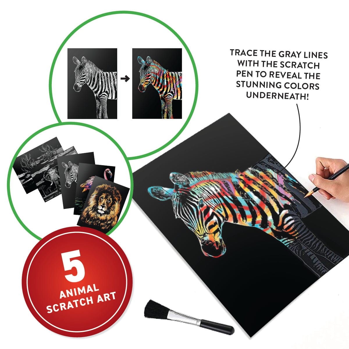 Virtual Reality Animals Kit | With Book & Scratch Art | Toylandeu™