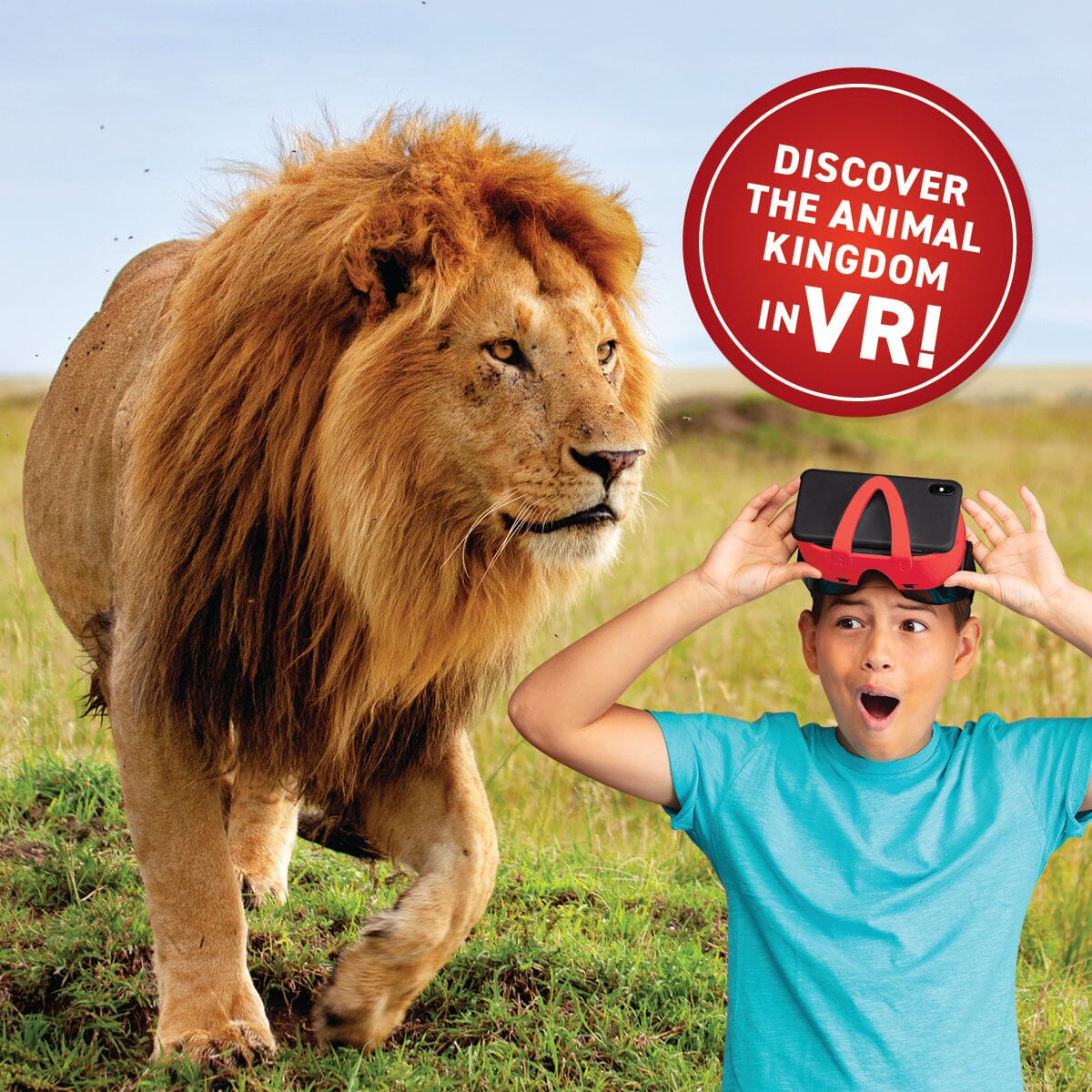 Virtual Reality Animals Kit | With Book & Scratch Art | Toylandeu™