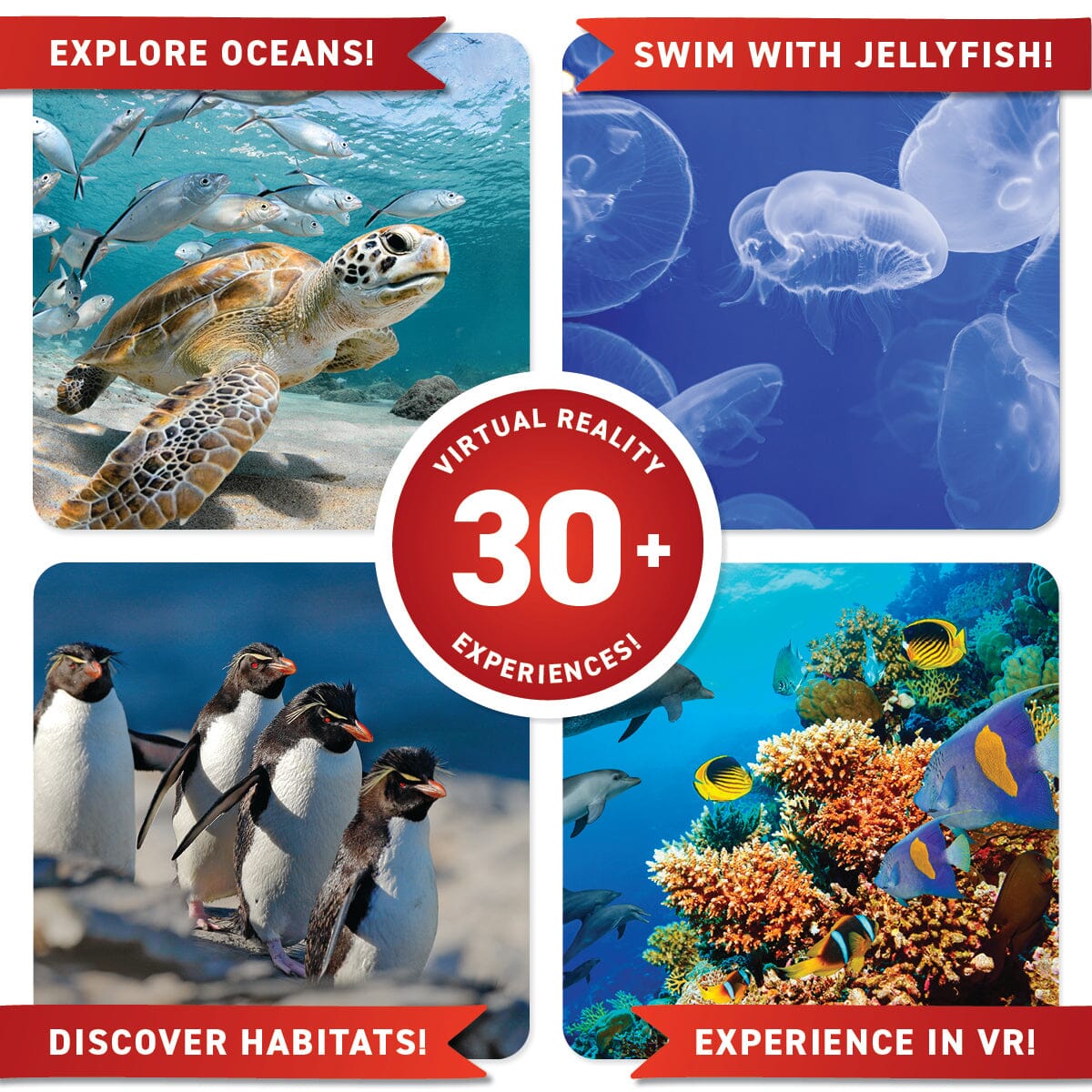 Virtual Reality Ocean Kit | DK Book Included | Toylandeu™