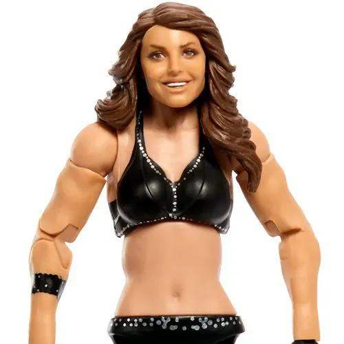 WWE WrestleMania Elite 2024 Action Figure - Select Figure(s) - ToyShnip