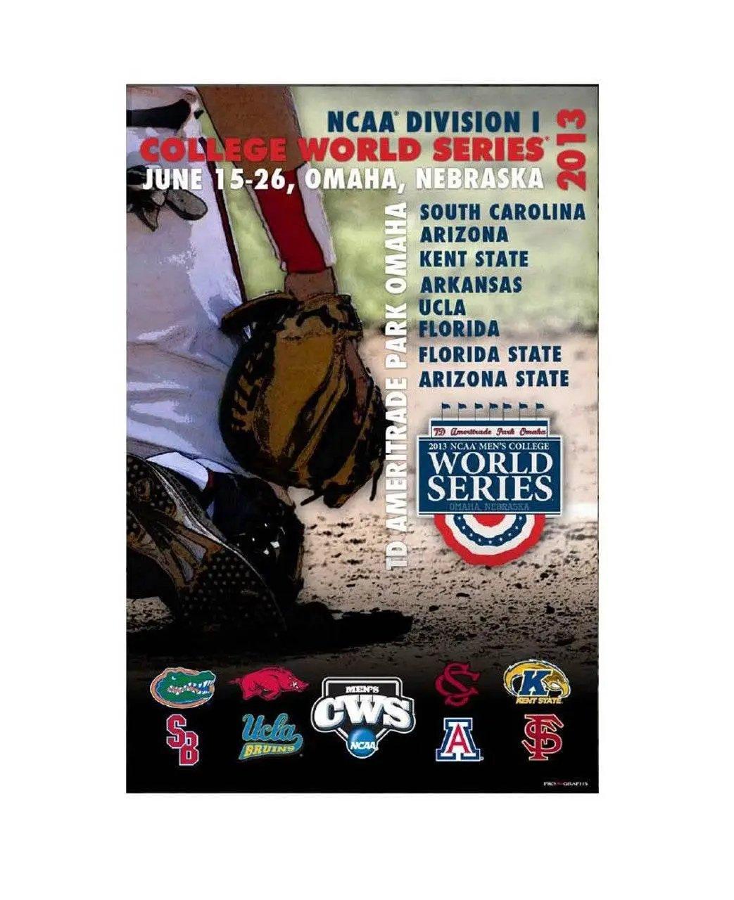  CWS Poster 2013 Catch The Action Eight Teams Co Art Print -  ToylandEU™
