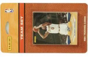  Washington Wizards 2009 10 Panini Team Set CO Basketball -  ToylandEU™