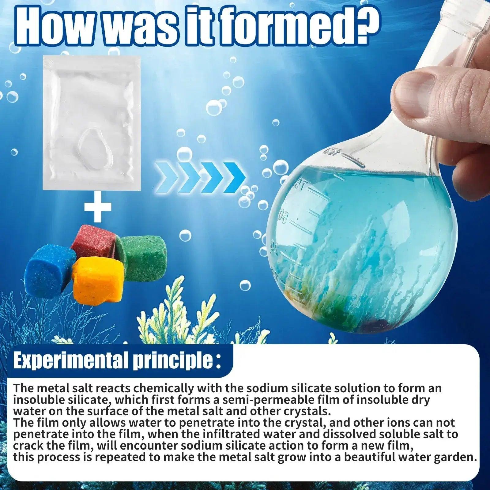  Water Growth Stones Educational STEM Toy for Kids Gift -  ToylandEU™