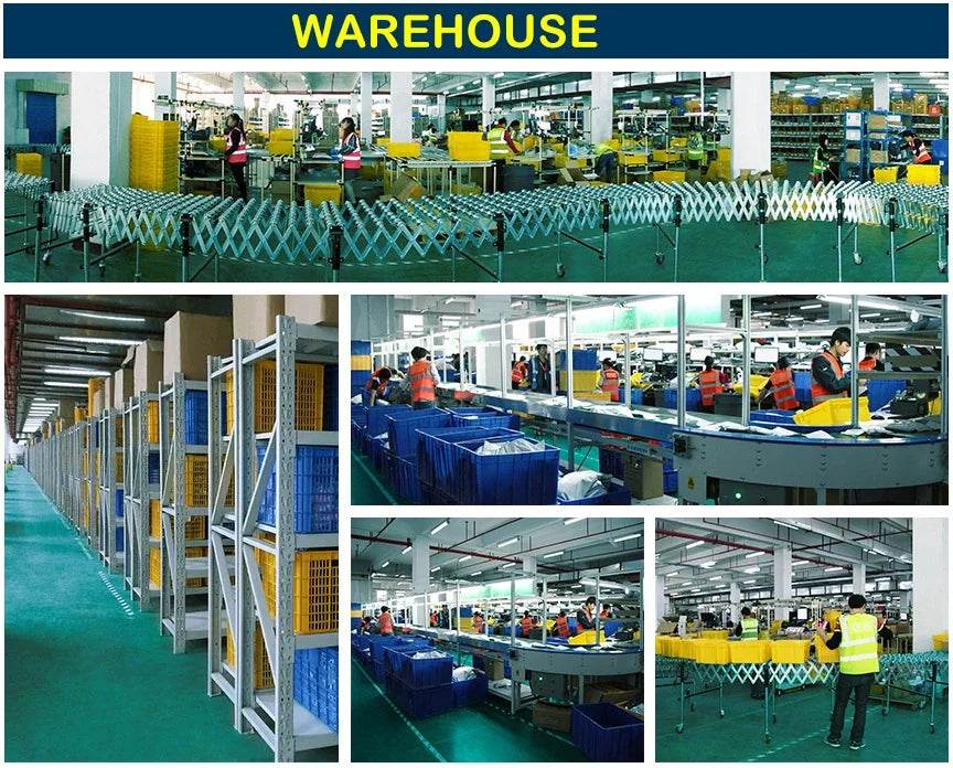 Educational Interactive Toy Whack A Mole Game Hobbies Pounding Hammers Included Knocking Toy Seal Montessori Gift for Kid - ToylandEU