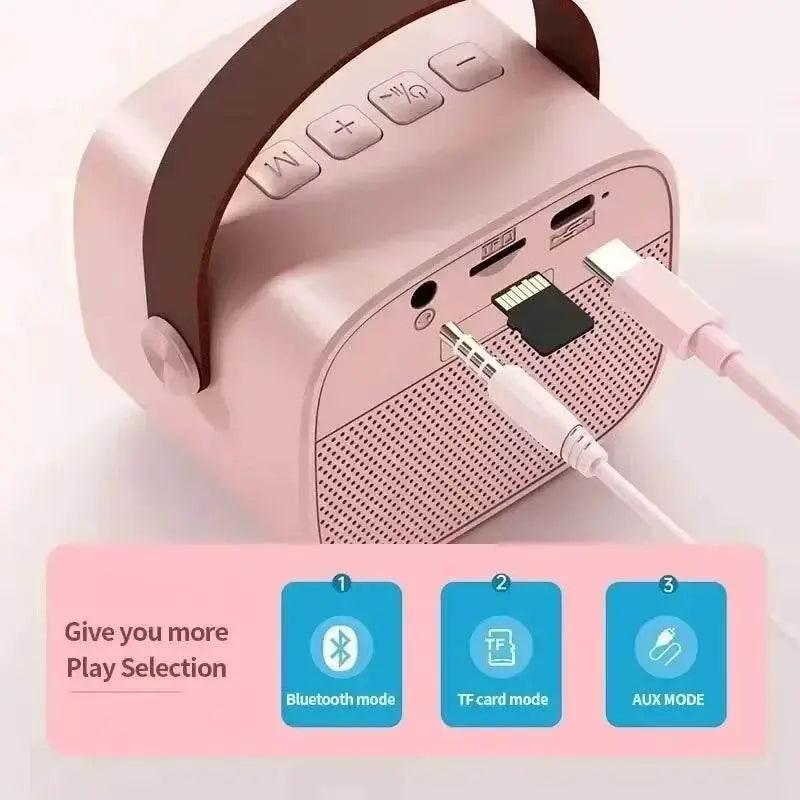  Wireless Dual Microphones Portable Karaoke Machine HomeKTV -  ToylandEU™