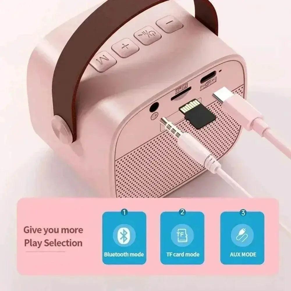  Wireless Dual Microphones Portable Karaoke Machine HomeKTV -  ToylandEU™