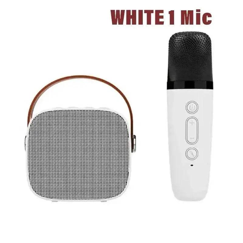  Wireless Dual Microphones Portable Karaoke Machine HomeKTV -  ToylandEU™