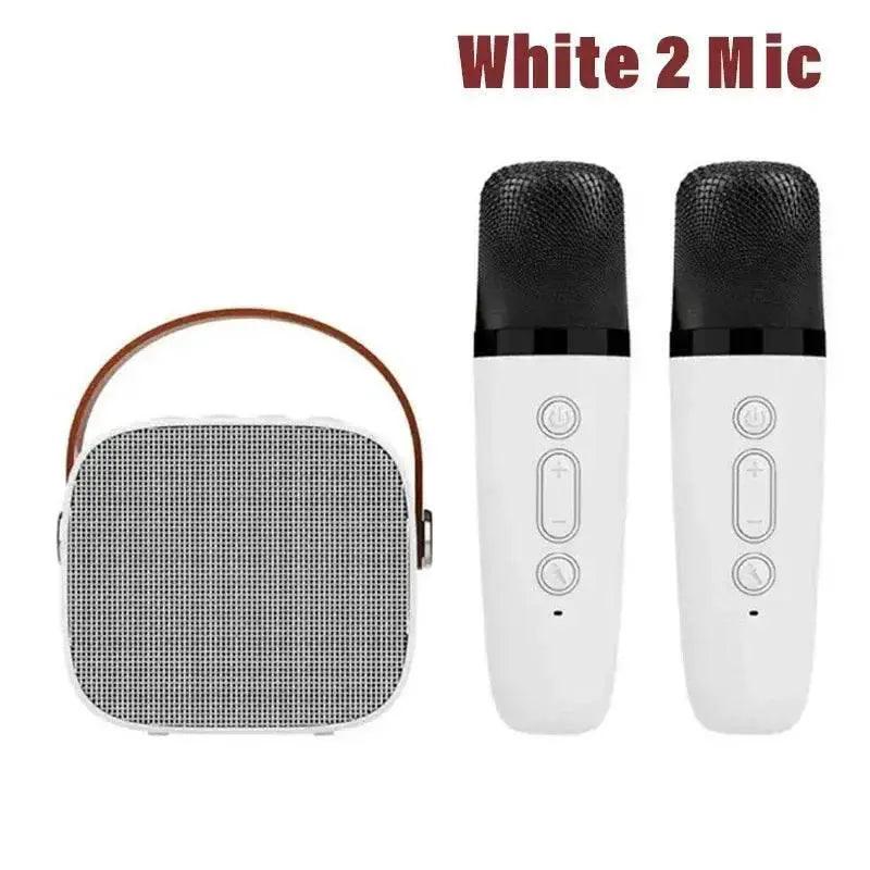  Wireless Dual Microphones Portable Karaoke Machine HomeKTV -  ToylandEU™