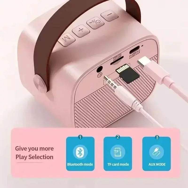  Wireless Dual Microphones Portable Karaoke Machine HomeKTV -  ToylandEU™