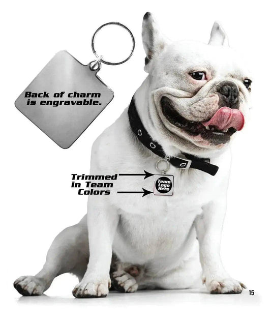  Wisconsin Badgers Pet Collar Charm Engraved ID Tag For Pets -  ToylandEU™
