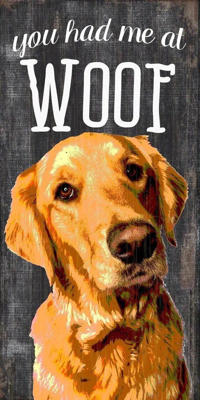  Pet Sign Wood You Had Me At Woof Golden Retriever 5 by 10 -  ToylandEU™
