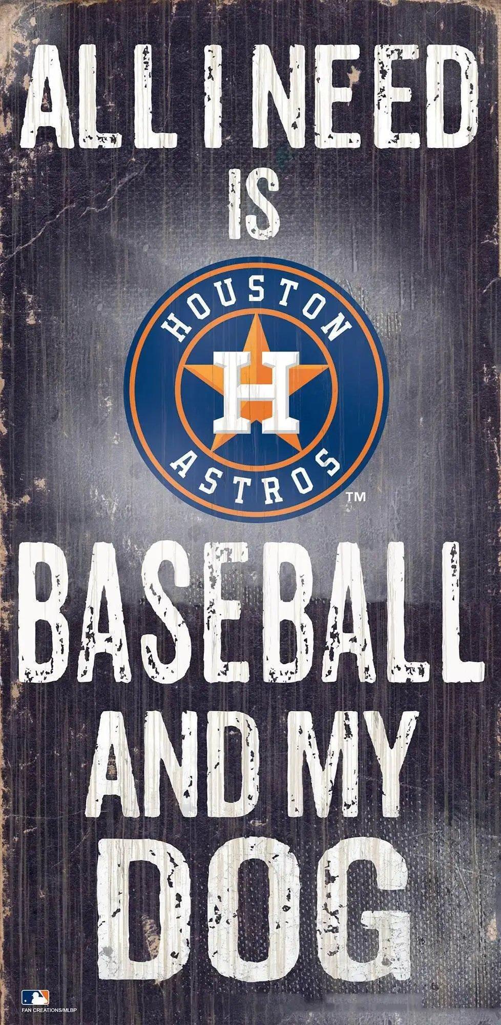  Houston Astros Wood Sign 6x12 Distressed Baseball Dog -  ToylandEU™