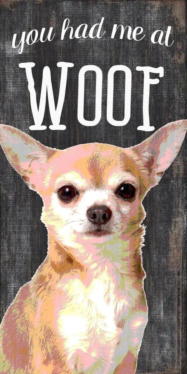  Pet Sign Wood You Had Me At Woof Chihuahua 5x10 Inches -  ToylandEU™