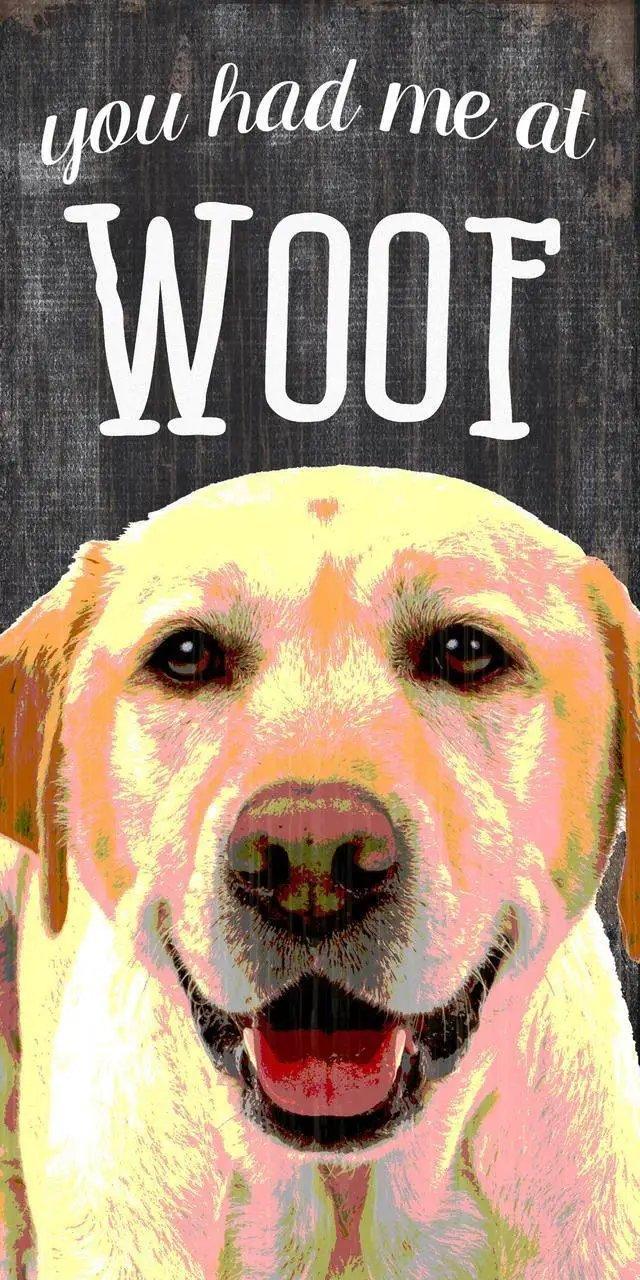  Wood Pet Sign You Had Me At Woof Yellow Lab 5x10 With Rope -  ToylandEU™
