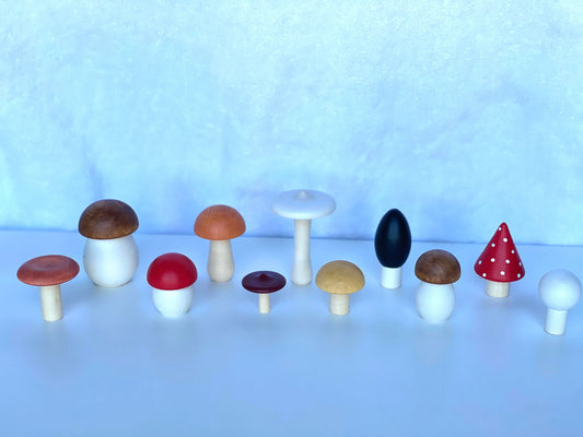 Wooden Mushroom Toys Set Of Eleven For Creative Play - ToylandEU