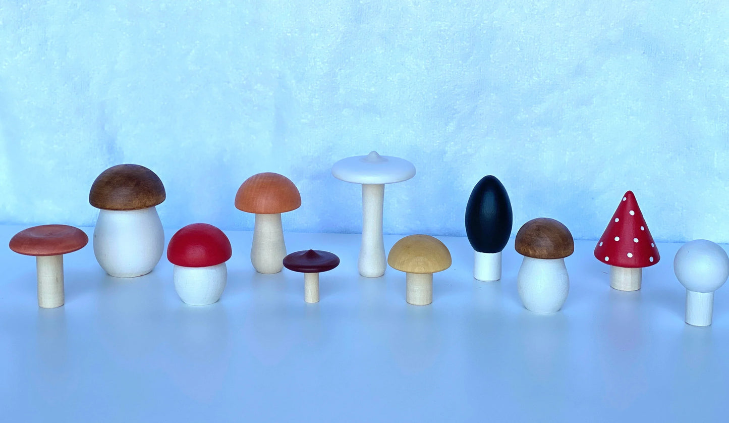Wooden Mushroom Toys Set Of Eleven For Creative Play - ToylandEU