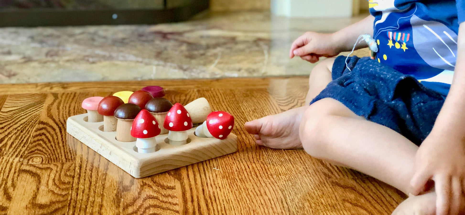 Wooden Mushrooms Montessori Sorting Game For Counting - ToylandEU