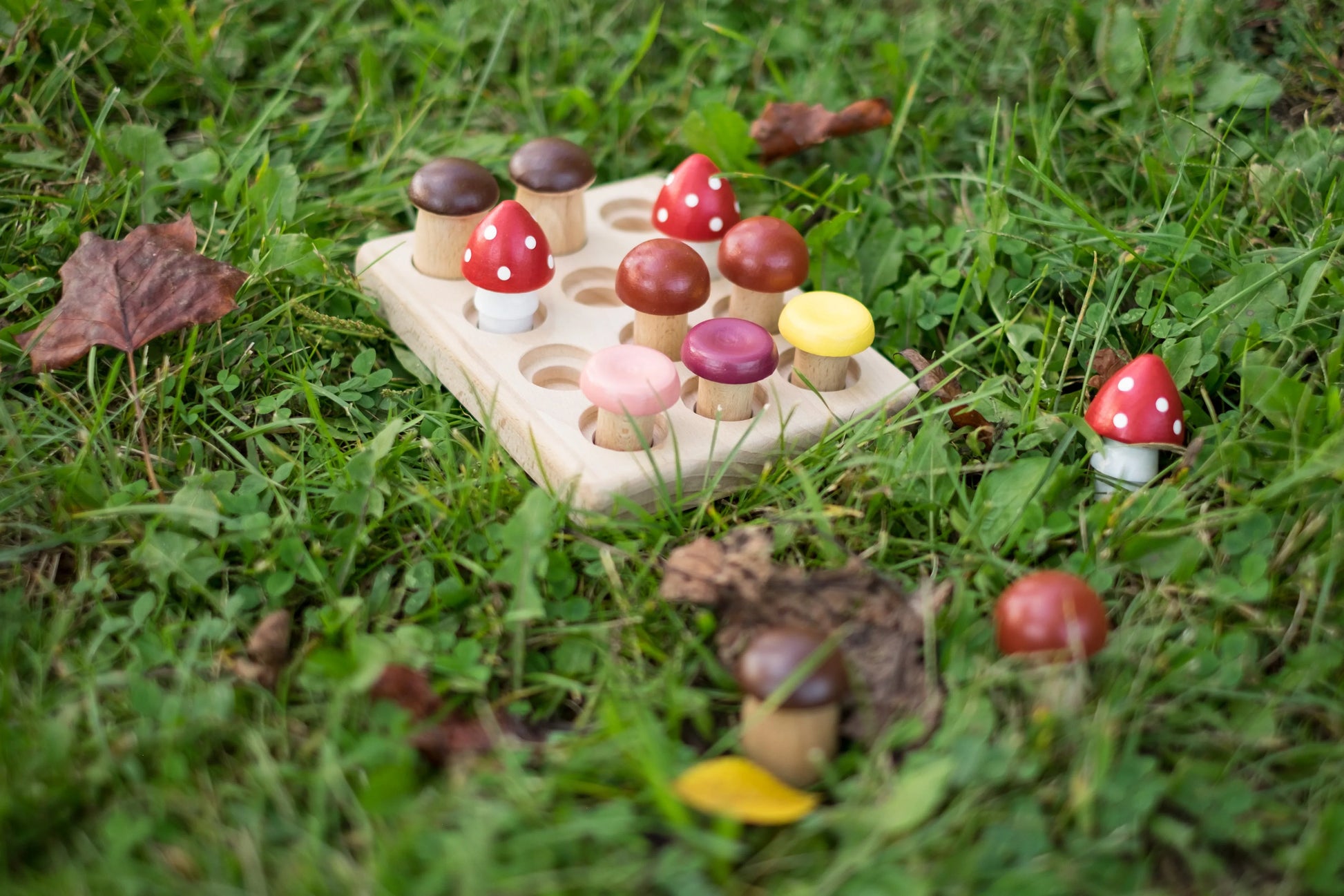 Wooden Mushrooms Montessori Sorting Game For Counting - ToylandEU