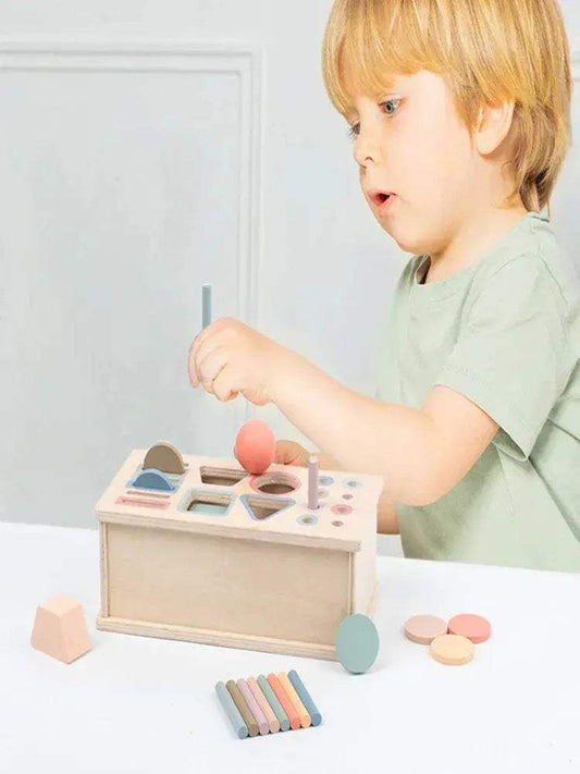  Wooden Shape Sorting Toy Set For Fine Motor Skills Safe -  ToylandEU™