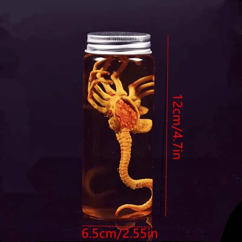  Xenomorph Facehugger Embryo Jar Authentic Replica -  ToylandEU™
