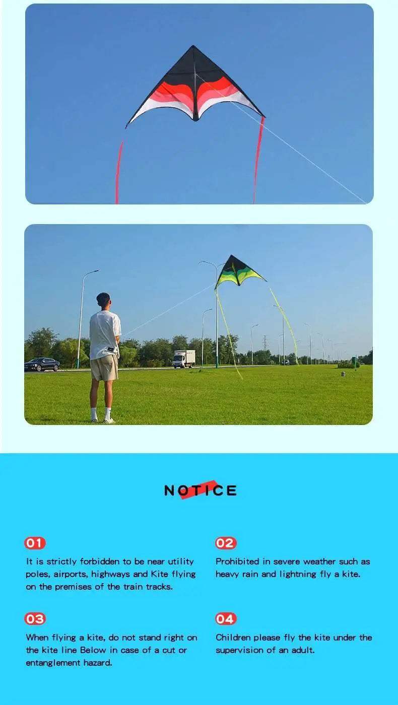  YongJian Large Beach Delta Kite Easy for Beginners to Fly -  ToylandEU™