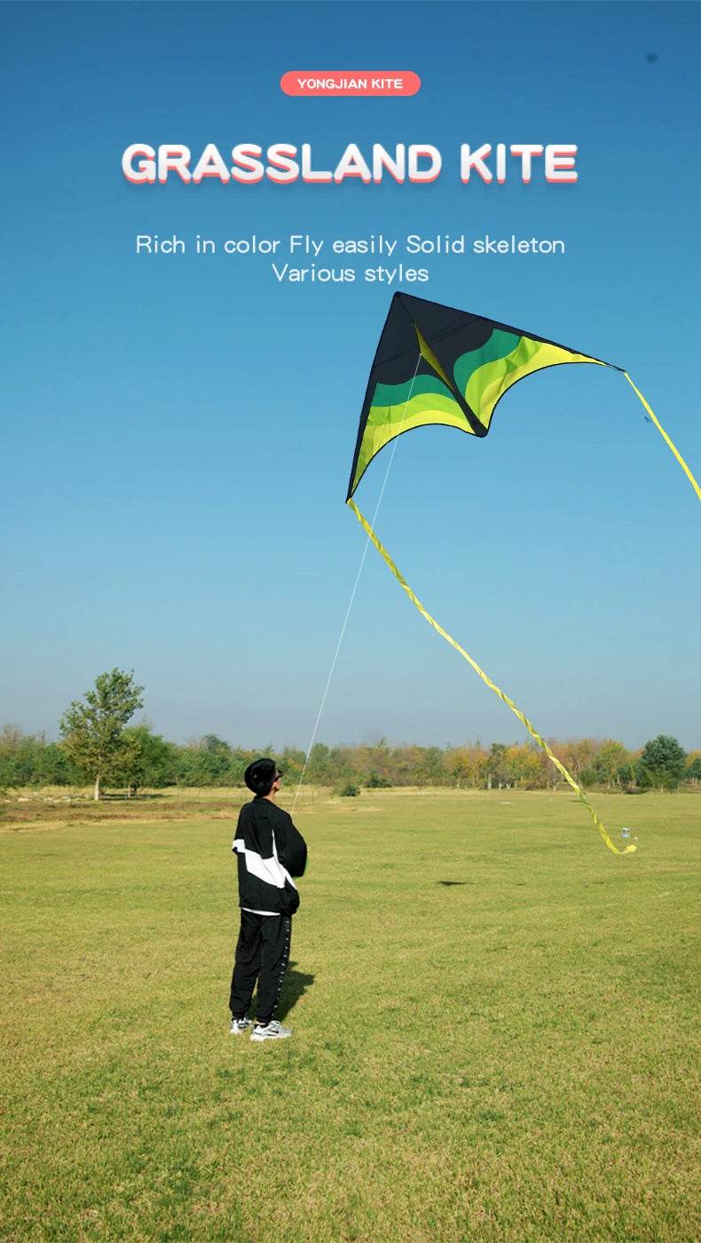 YongJian Large Beach Delta Kite for Adults and Kids Easy Fly - ToylandEU