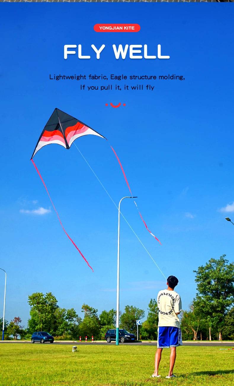 YongJian Large Beach Delta Kite for Adults and Kids Easy Fly - ToylandEU