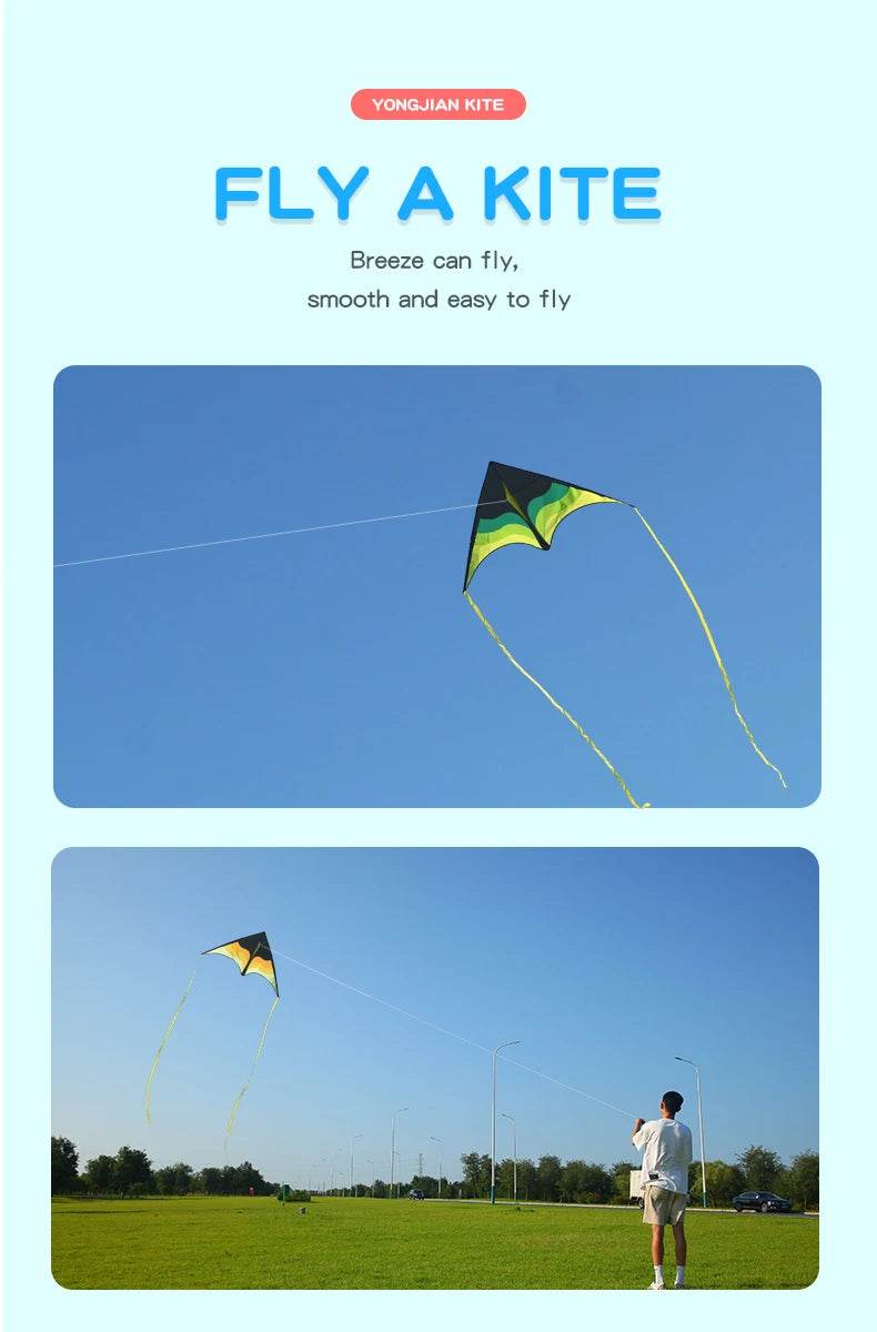 YongJian Large Beach Delta Kite for Adults and Kids Easy Fly - ToylandEU