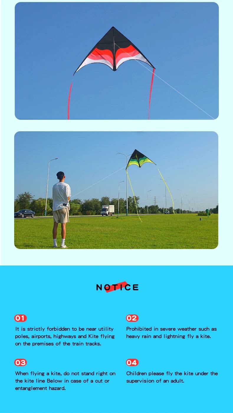 YongJian Large Beach Delta Kite for Adults and Kids Easy Fly - ToylandEU