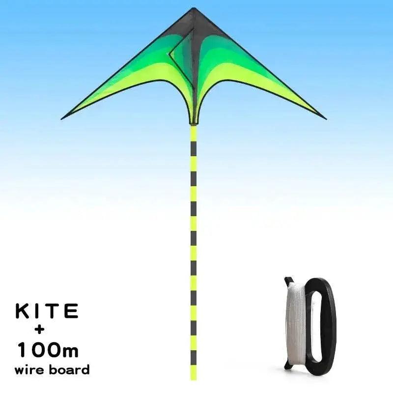  YongJian Large Delta Kite Easy to Fly for Kids and Adults -  ToylandEU™