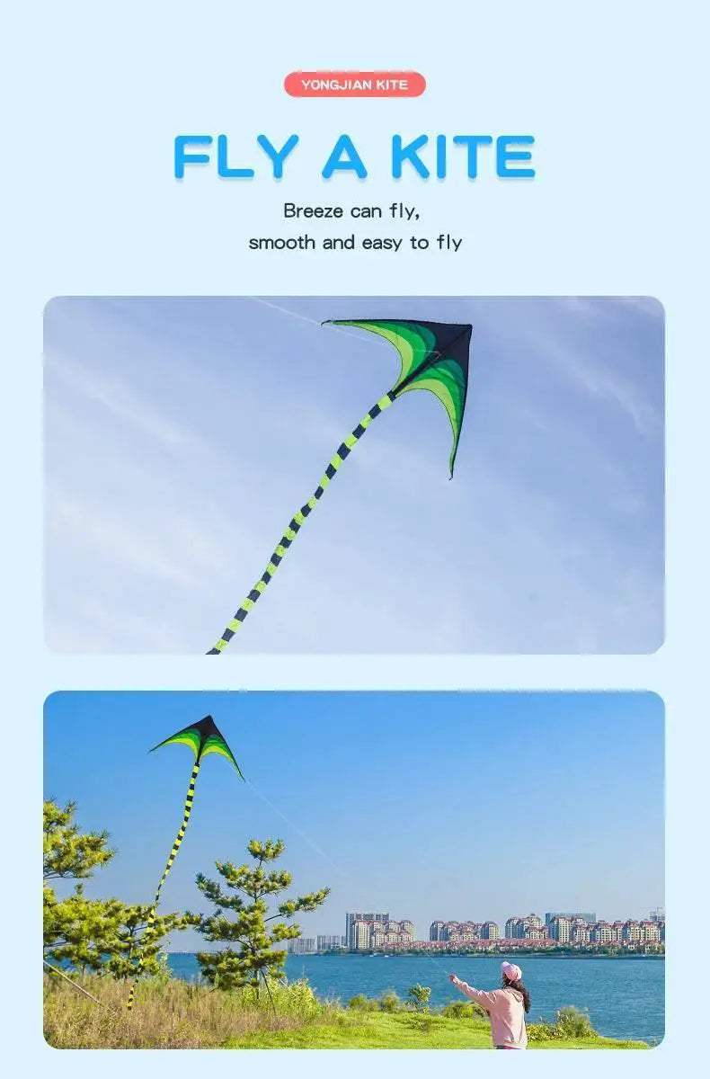 YongJian Large Delta Kite Easy to Fly for Kids and Adults -  ToylandEU™